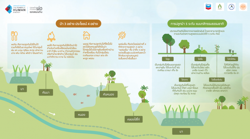 เอกสารป่า 3 อย่าง ประโยชน์ 4 อย่าง และ การปลูกป่า 5 ระดับแบบกสิกรรมธรรมชาติ